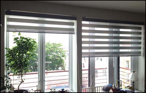 Zebra Blinds 2